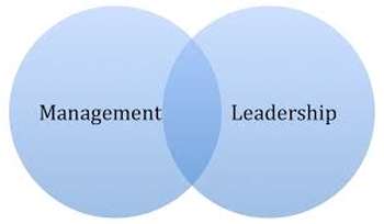 Management leadership