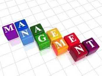 Les principes de management